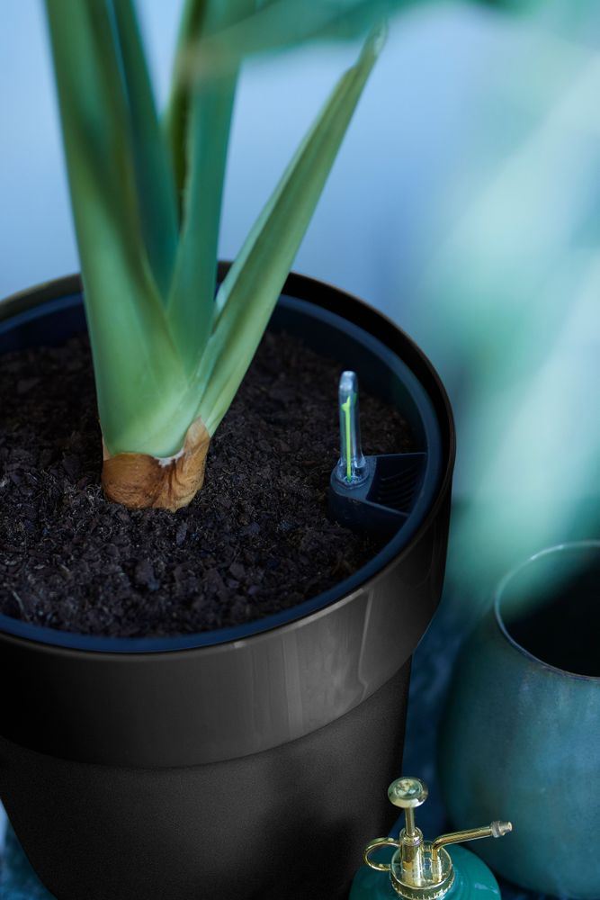 elho B.for Original Rond Wielen 35 - Living black (Zwart) - Ø 35 x H