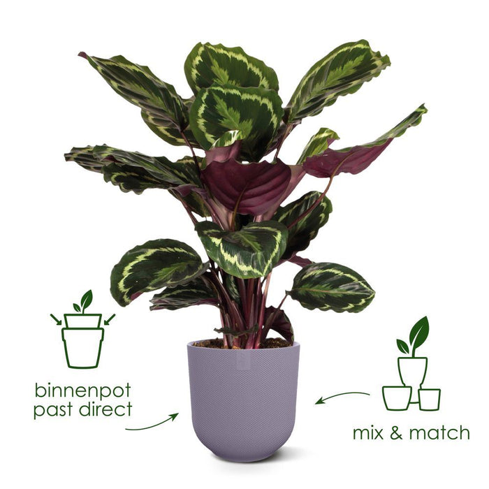 elho Jazz Rond 14 - Amber geel (Geel) - Ø 14 x H 13 cm - Ideaal voor