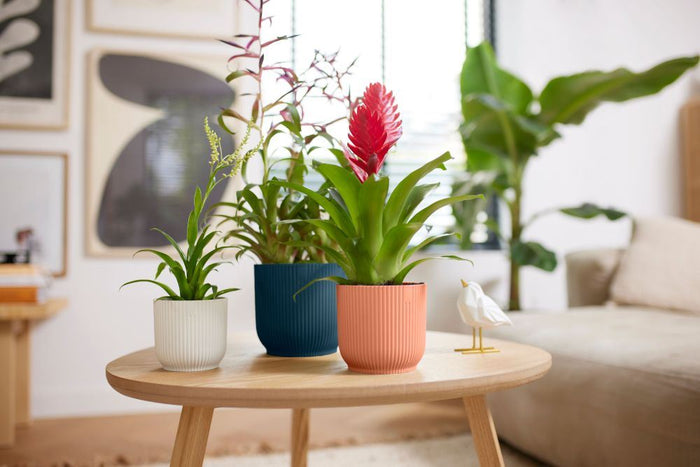 elho Vibes Fold Rond 14 - Zijdewit (Wit) - Ø 14 x H 13 cm - Ideaal