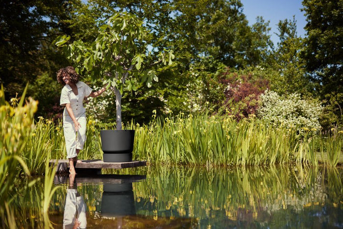 elho Greenville Round 55 - Living black (Zwart) - Ø 55 x H 50 cm -