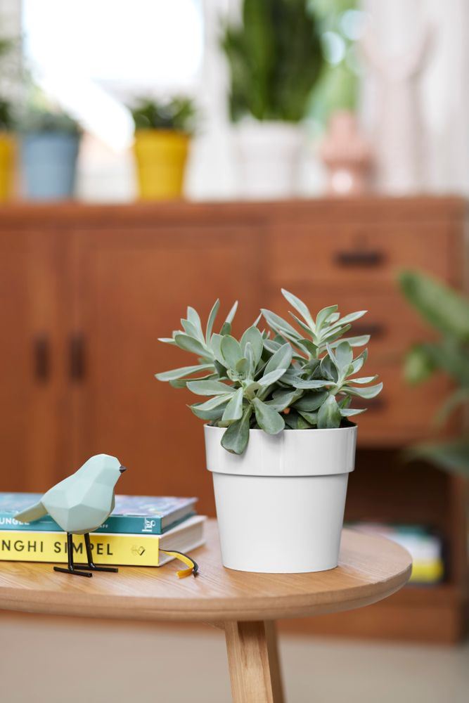 elho B.for Original Rond 22 - Wit (Wit) - Ø 22 x H 20 cm - Ideaal voor