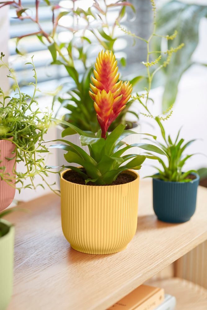 elho Vibes Fold Rond 14 - Botergeel (Geel) - Ø 14 x H 13 cm - Ideaal