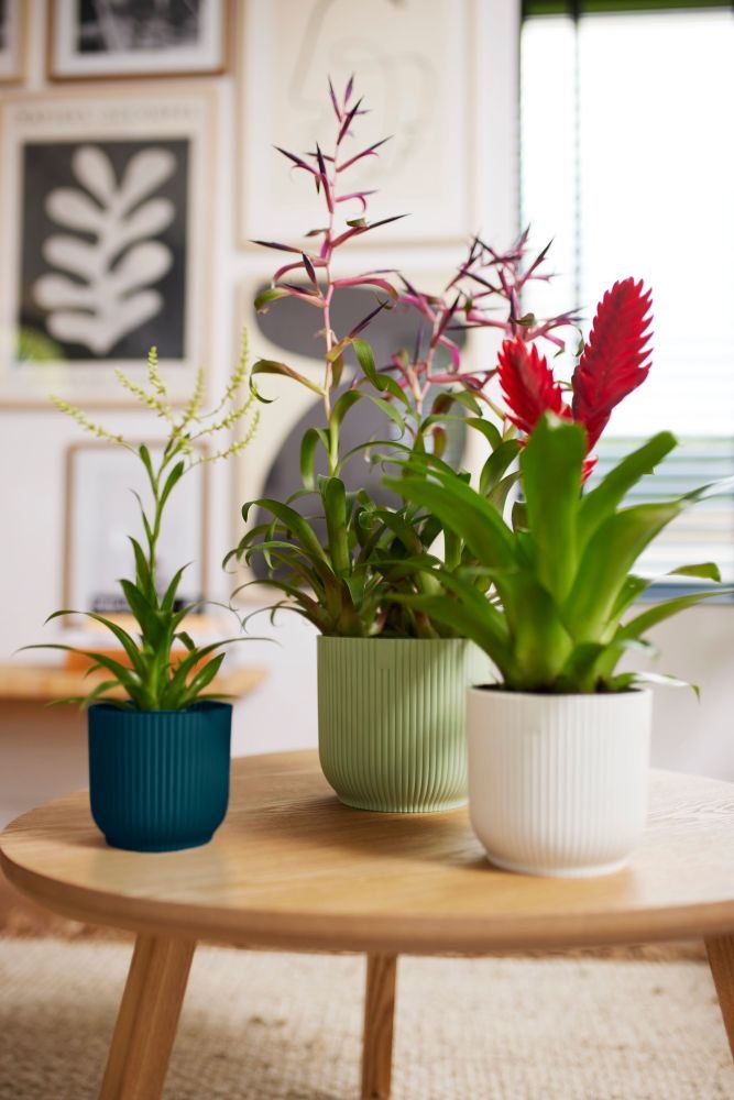 elho Vibes Fold Rond 14 - Sorbet groen (Groen) - Ø 14 x H 13 cm -