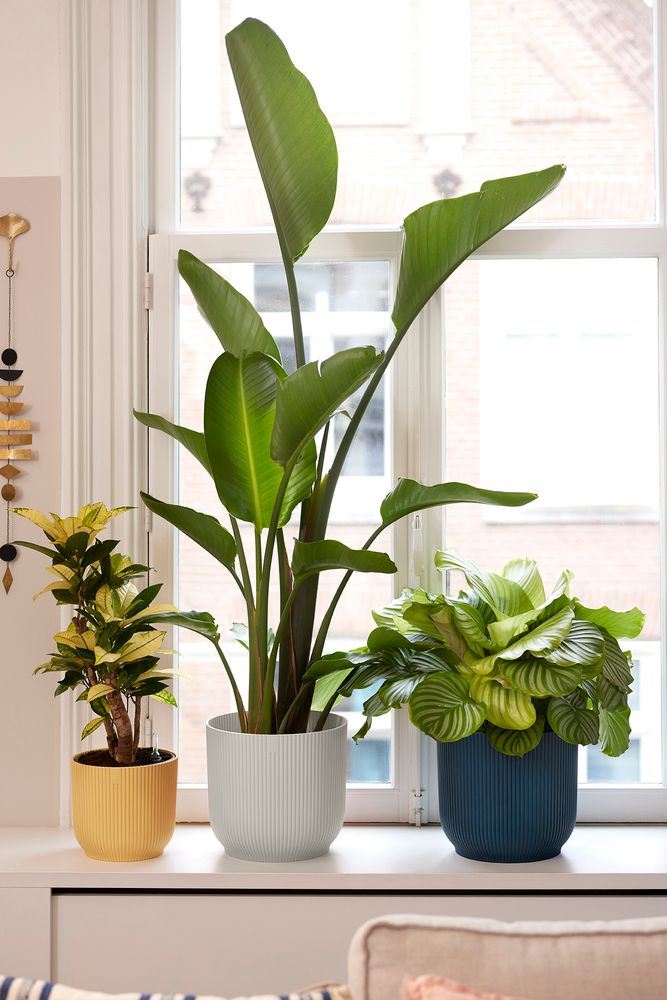 elho Vibes Fold Rond 18 - Zijdewit (Wit) - Ø 18 x H 17 cm - Ideaal