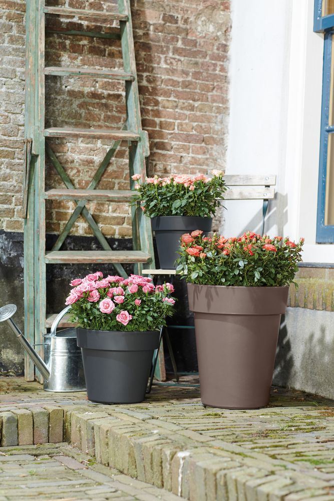 elho Green Basics Top Planter Hoog 35 - Taupe (Bruin) - Ø 35 x H 41 cm