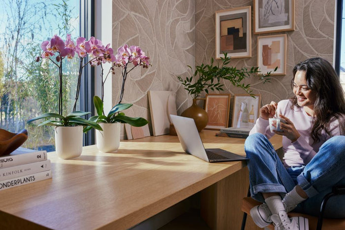 elho Vibes Fold Orchidee Hoog 12,5 - Zijdewit (Wit) - Ø 13 x H 15 cm -