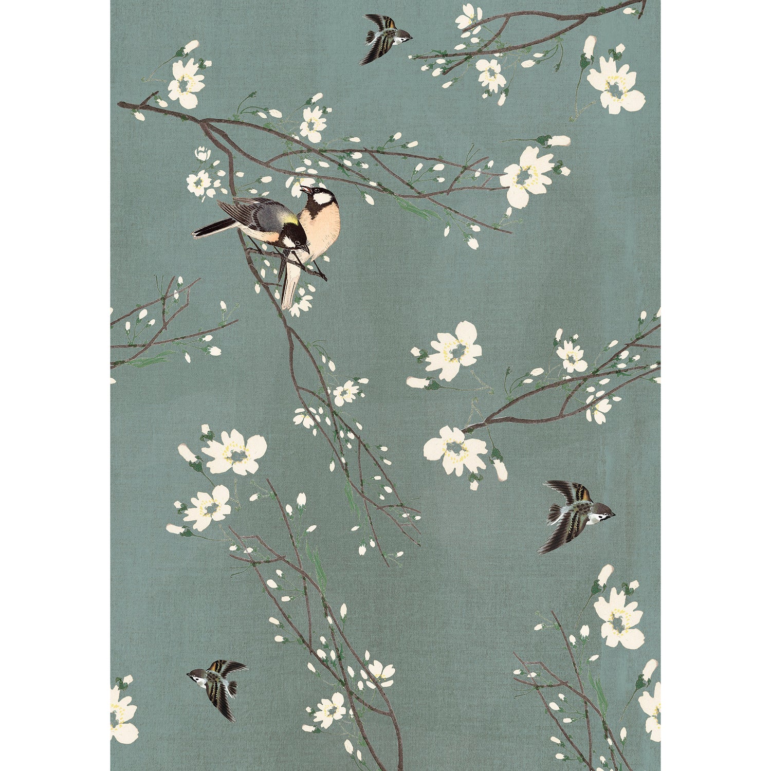 Art for the Home Fotobehang - Birds & Blossom - 200x280