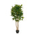 Mica Decorations Vingerplant Kunstplant - H150 x  Ø70 cm - Groen