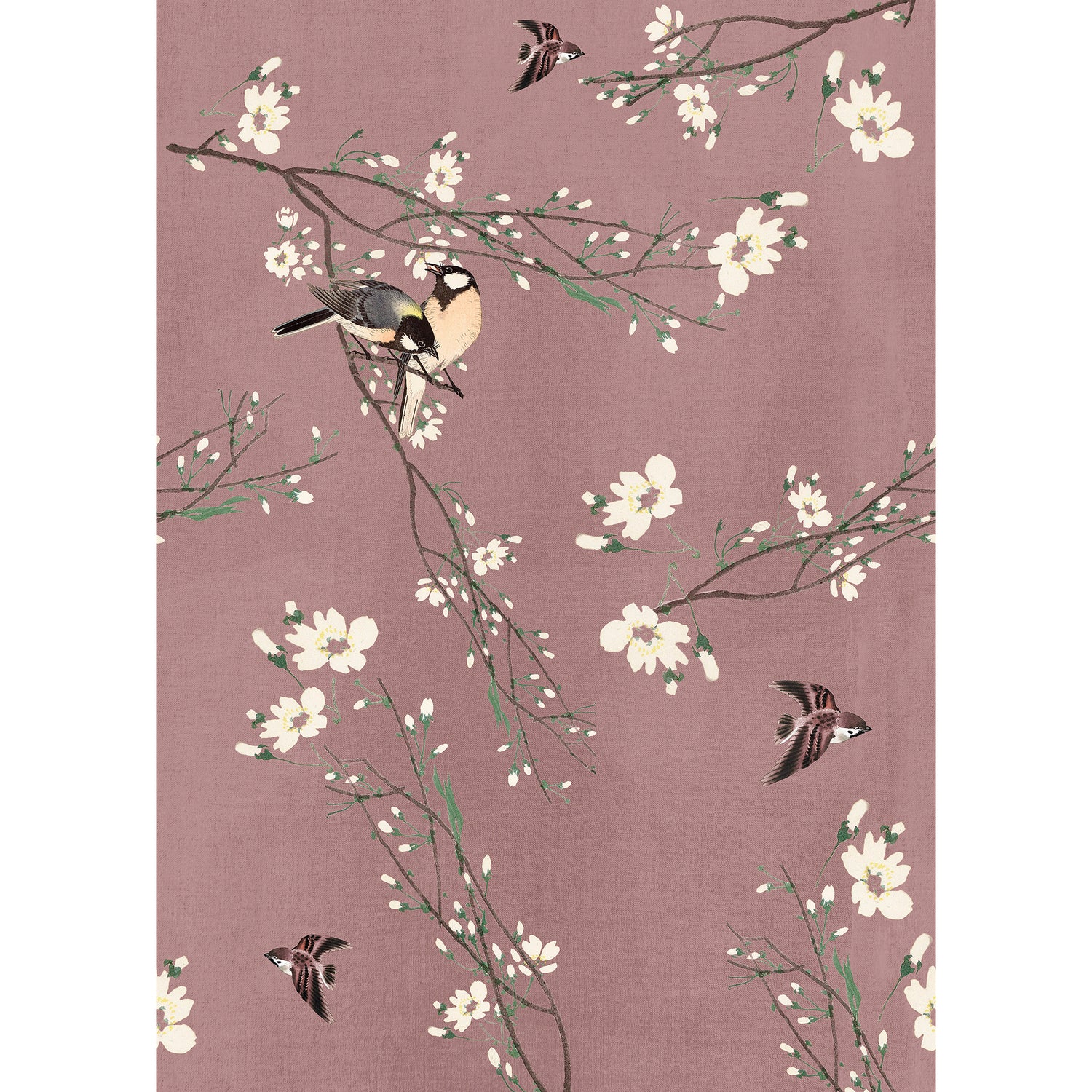 Art for the Home Fotobehang - Birds & Blossom - 200x280