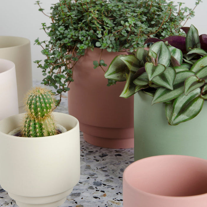 Home Delight - Bloempot Nola terra M