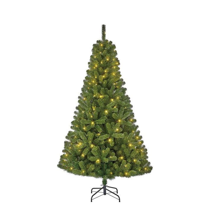 Black Box Kunstkerstboom Charlton - 168x168x305 cm - PVC - Groen - 800LED