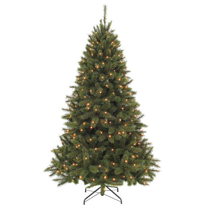 Triumph Tree Kunstkerstboom Bristlecone Fir - 163x163x260 cm - PVC|Hardnaald - Groen - 440LED