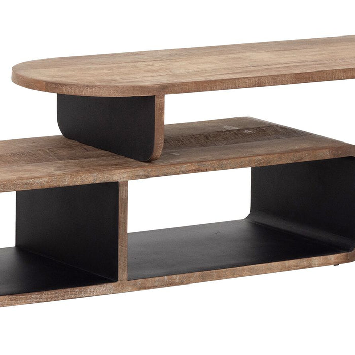 DTP Home TV stand Evo, extendable,45x150x40 cm, recycled teakwood