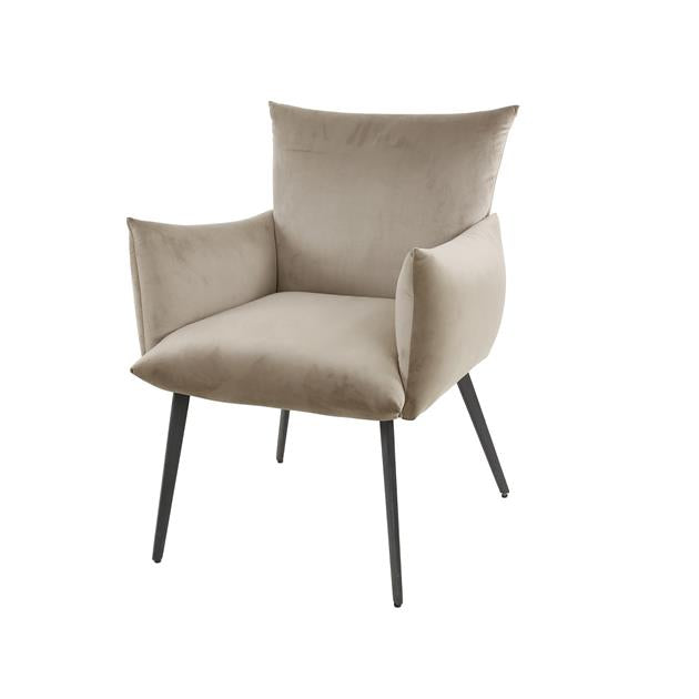 Hoyz Collection - Eetkamerfauteuil Lobby - Champagne Velours