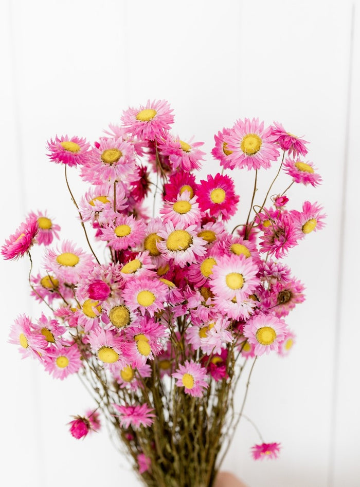 8e31907e-5ae3-49db-a1f4-9fca0810df68-afbeelding5.jpg (1133810) 