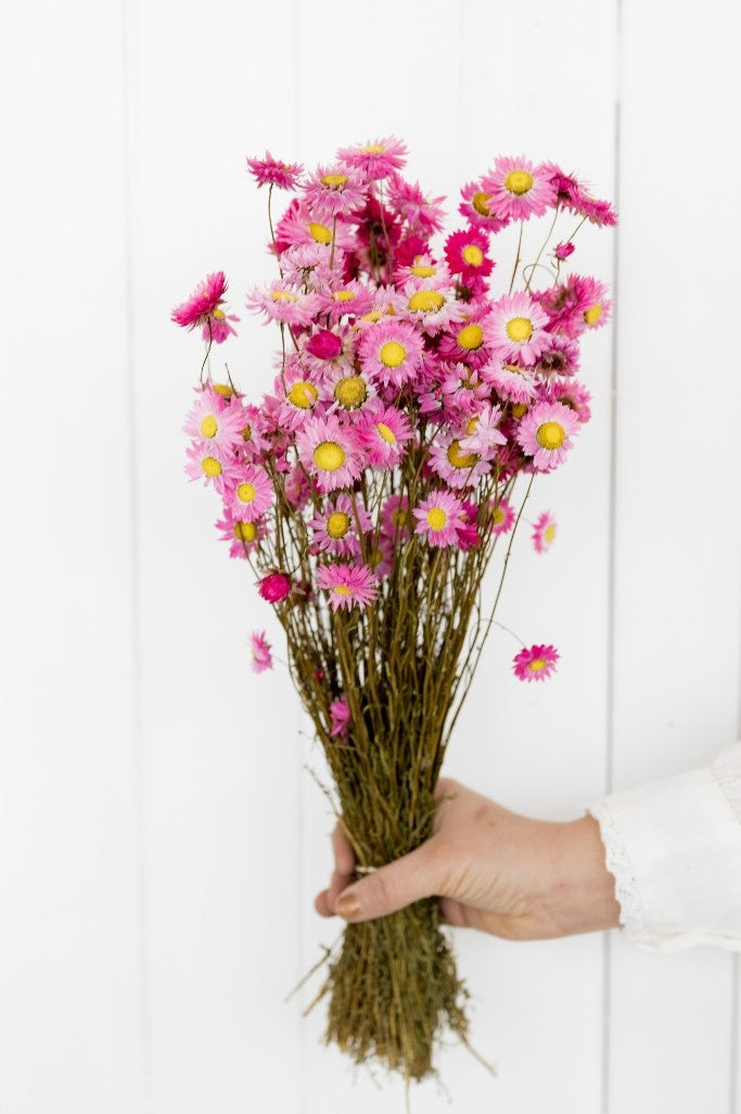 8e31907e-5ae3-49db-a1f4-9fca0810df68-afbeelding6.jpg (1133812) 