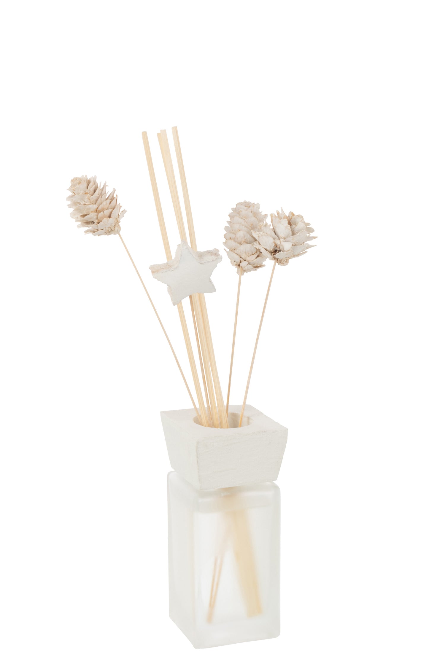 J-Line geurverspreider Den Eucalyptus droogbloemen - riet -