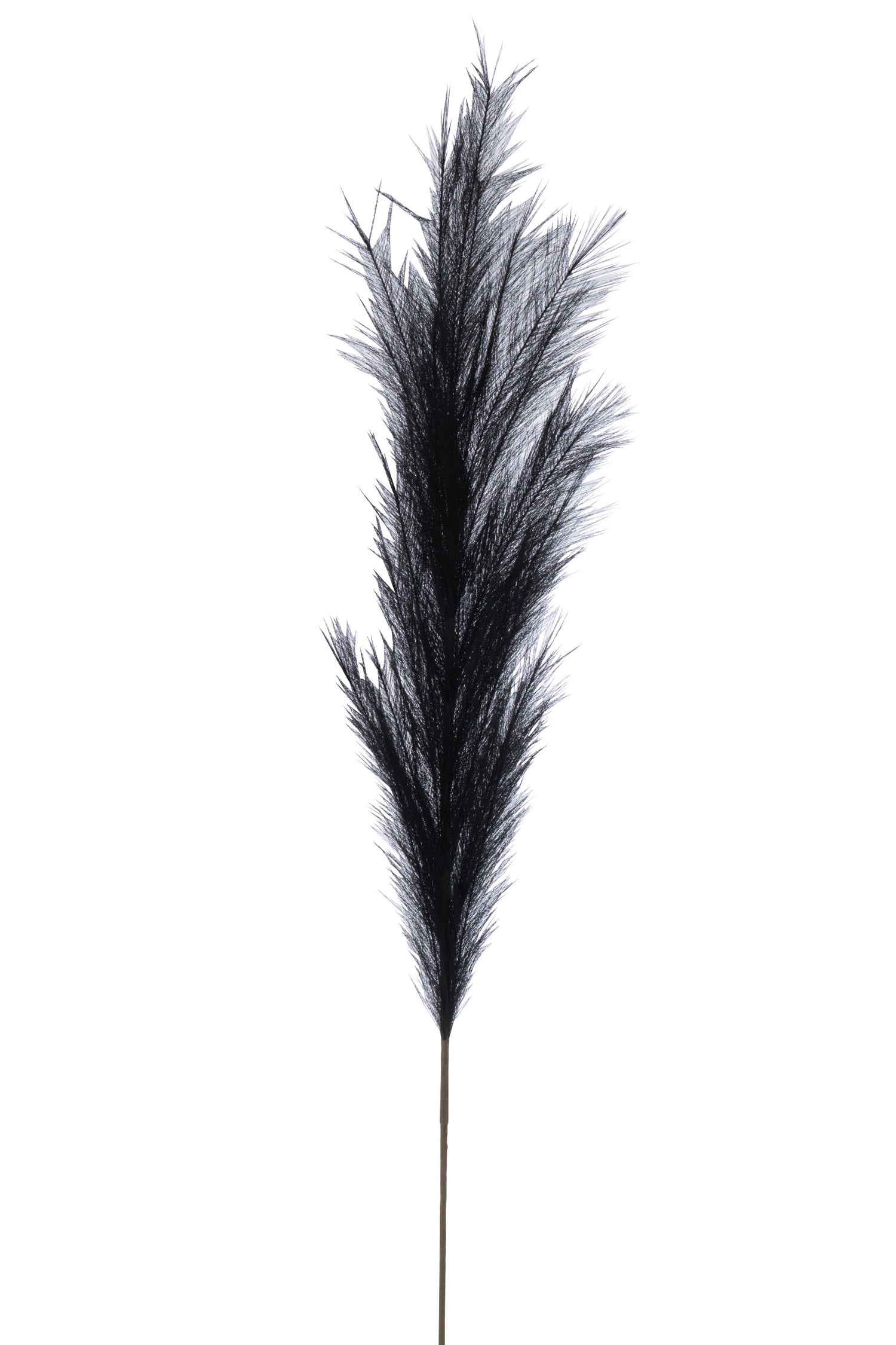 J-Line decoratie tak Plumeau - kunststof - zwart - large