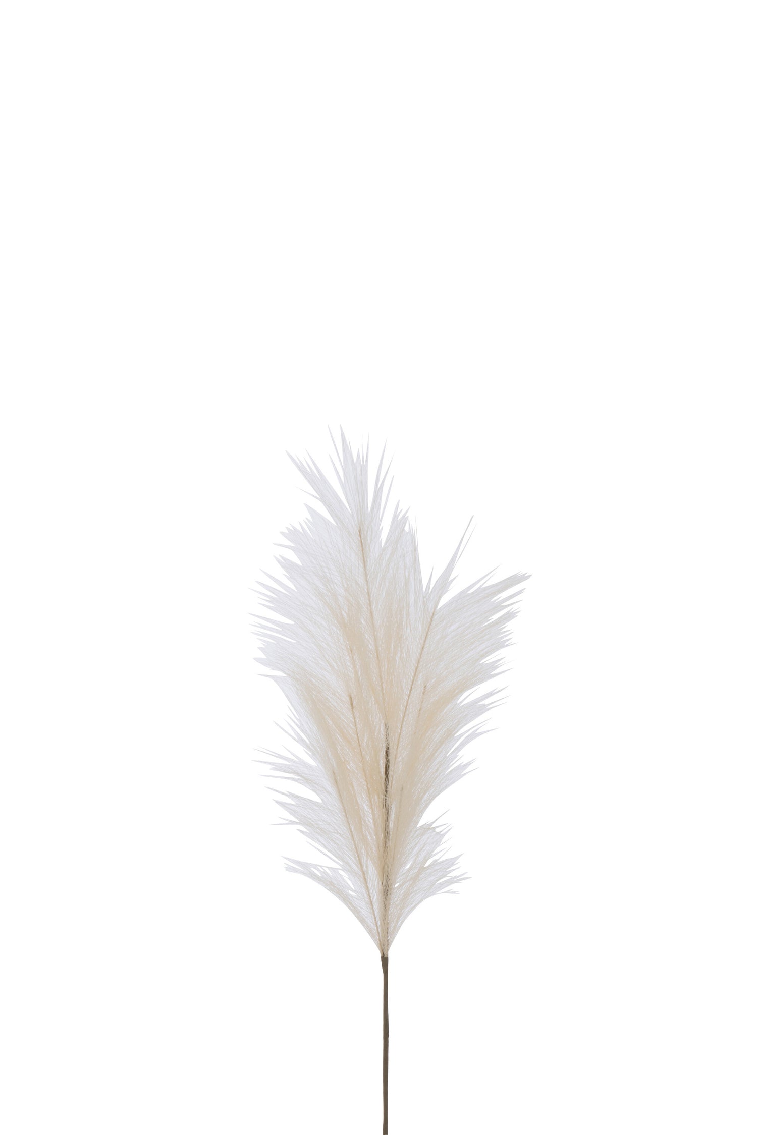 J-Line decoratie tak Plumeau - kunststof - beige - small