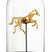 J-Line decoratie stolp Paard - glas - goud|zwart - large
