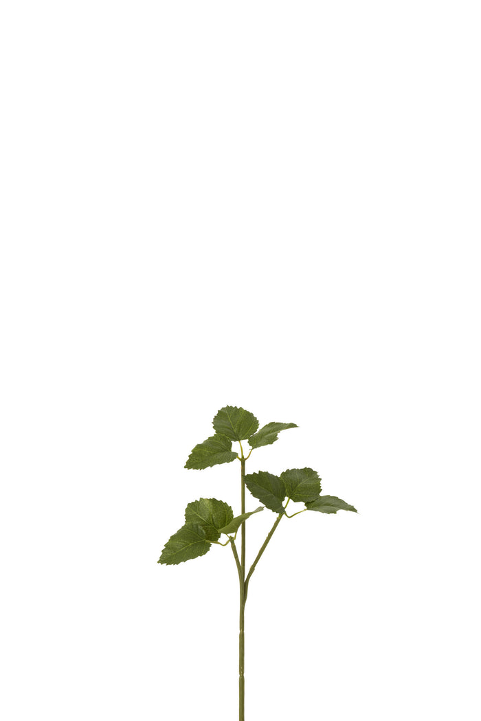 J-Line decoratie tak Hoppe - kunststof - groen - 36 stuks