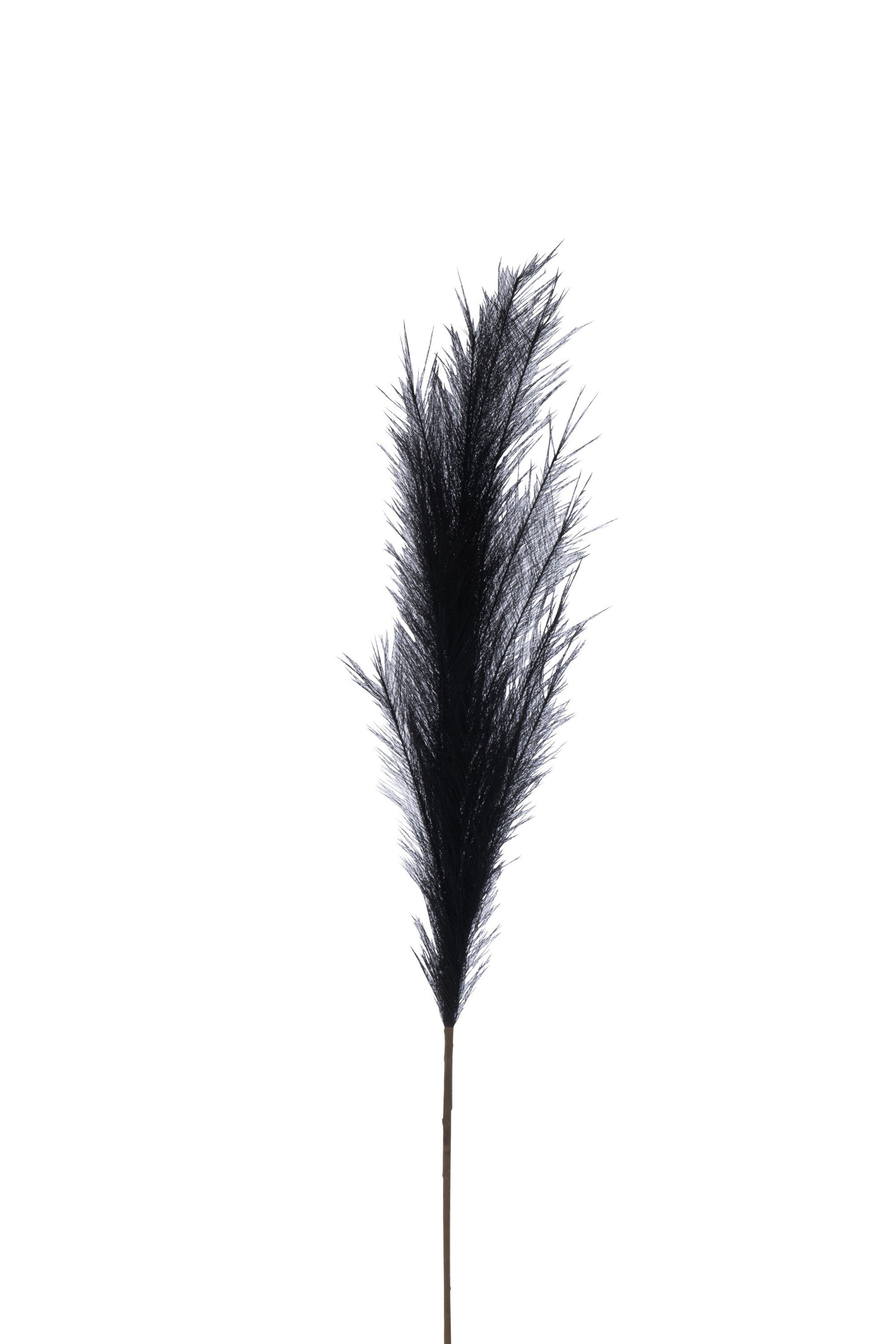 J-Line decoratie tak Plumeau - kunststof - zwart - medium