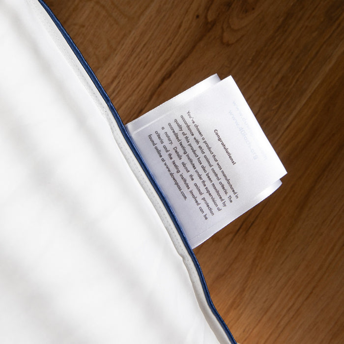 Fabiola - Eendenveren;Eendendons Kussen- 60x70cm