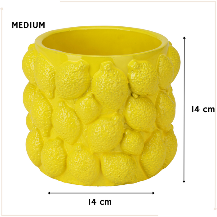 MISOU Citroenvaas 5 soorten Bloempot met Citroenen Citroenvaas Plan...