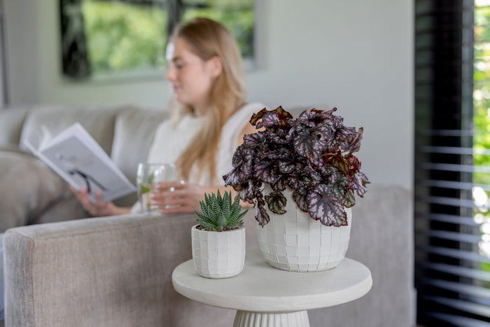 Capi Europe - Pot bol Blocks - 17x15 - Zwart