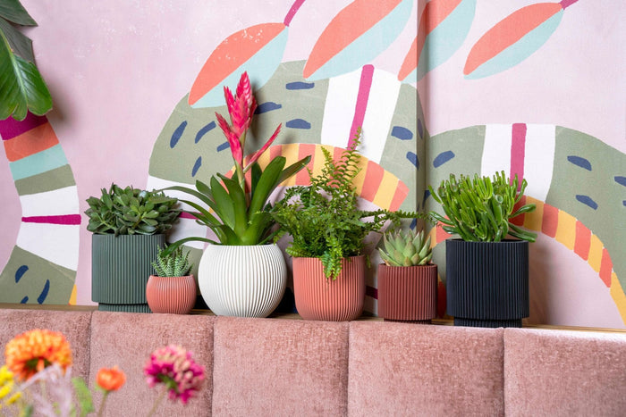 Capi Europe - Pot bol Groove  - 24x21 - Grafietgrijs