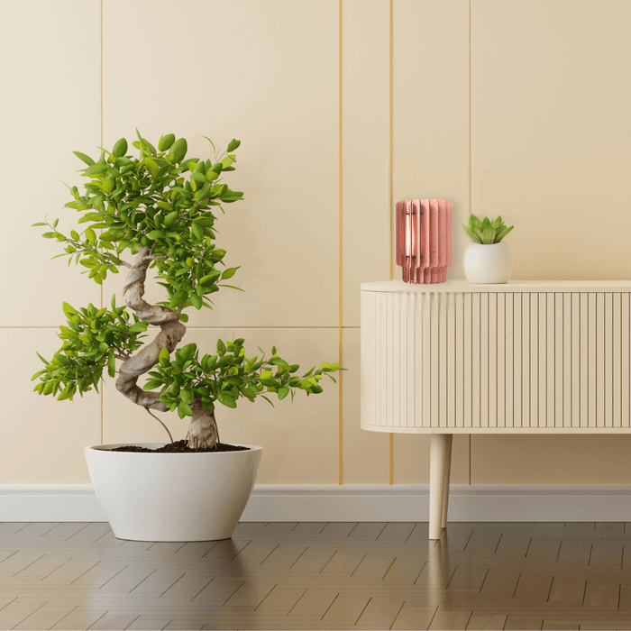 Nova tafellamp - Aged Pink