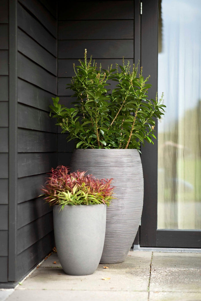 Capi Europe - Vaas elegant laag Smooth NL - 36x48 - Beige