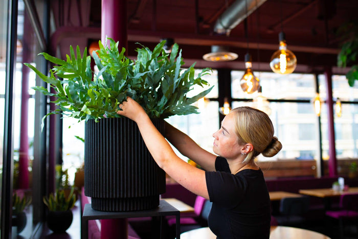 Capi Europe - Vaas cilinder Groove NL - 35x38 - Beige