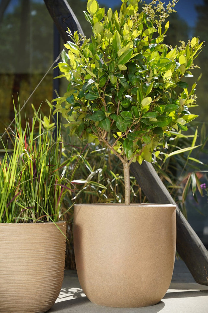 Capi Europe - Pot bol Smooth NL - 35x34 - Beige