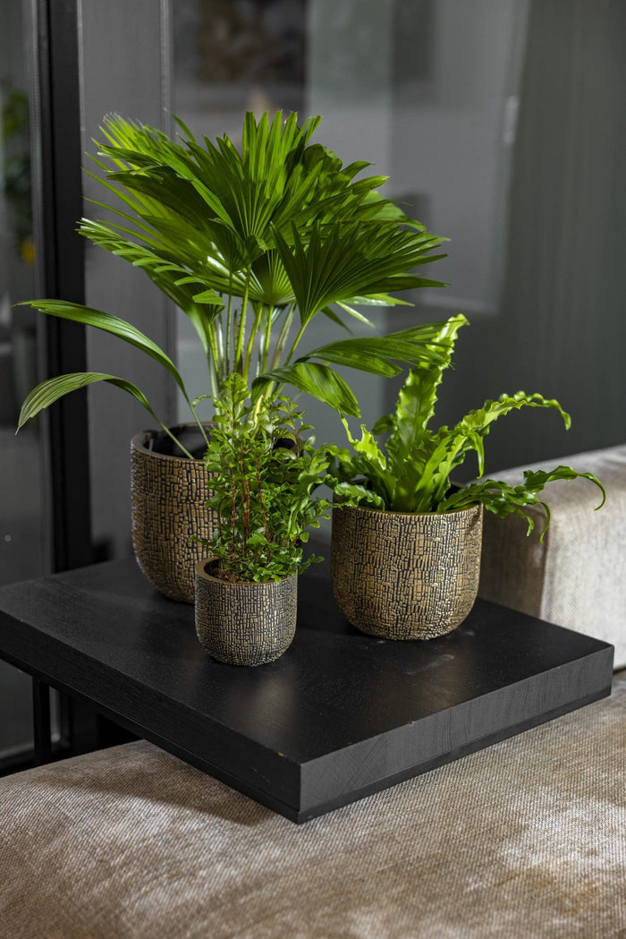 Capi Europe - Pot bol Skin - 9x8 - Zwart beige