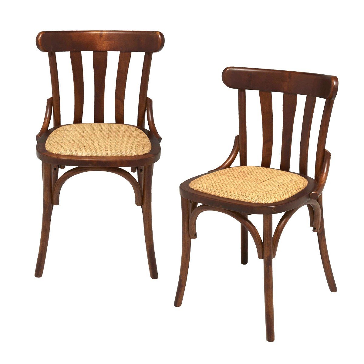 Calicosy - ESTAMINET Lot - B48 cm - Bruin