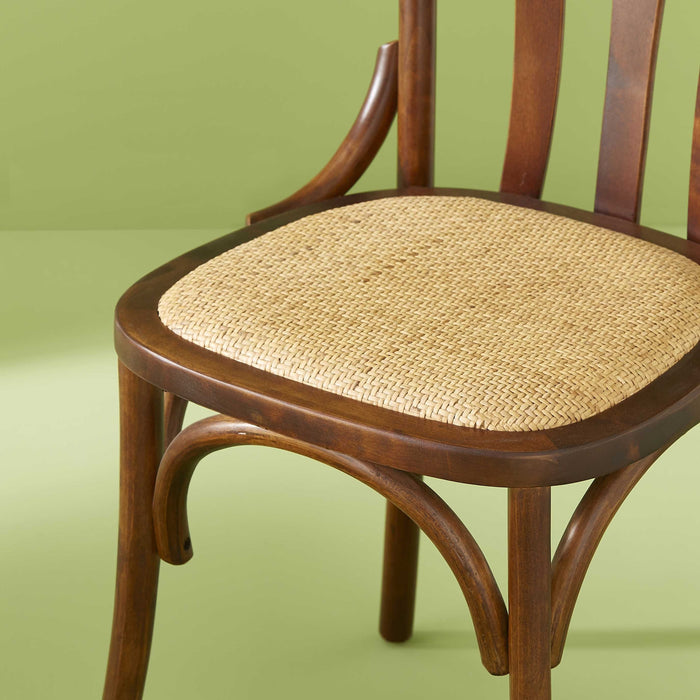 Calicosy - ESTAMINET Lot - B48 cm - Bruin