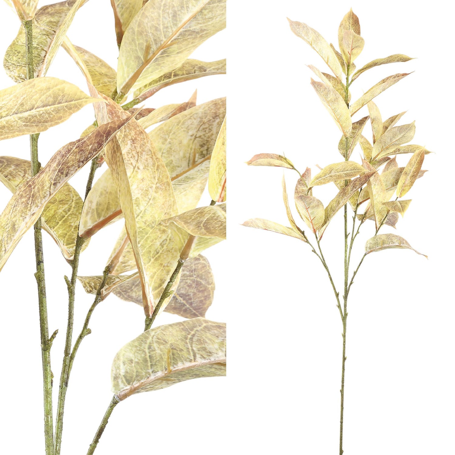 PTMD - Kunstplant Leaves - Bruin - 62x44x102cm