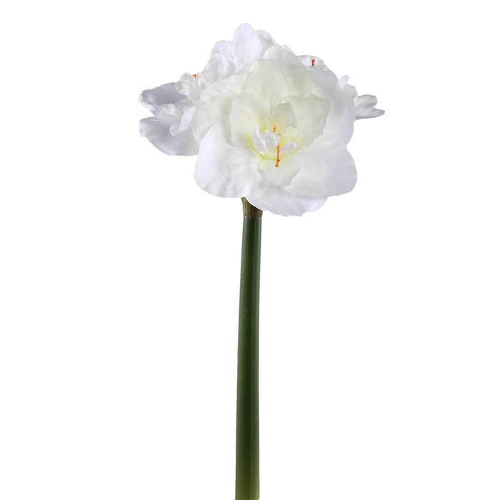 PTMD - Kunstbloem Amaryllis - Wit - 17x38x75cm