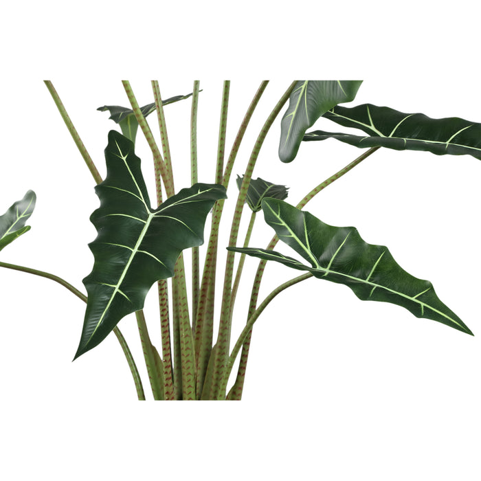 PTMD Leaves Plant Green Alocasia Plant In Pot L