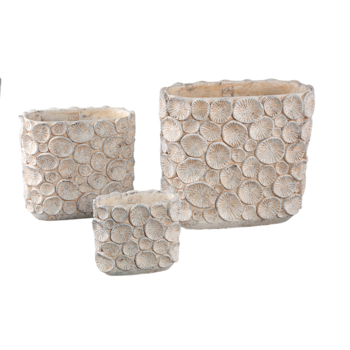 PTMD Ayisy Cream Oval Cement Pot With Coral L