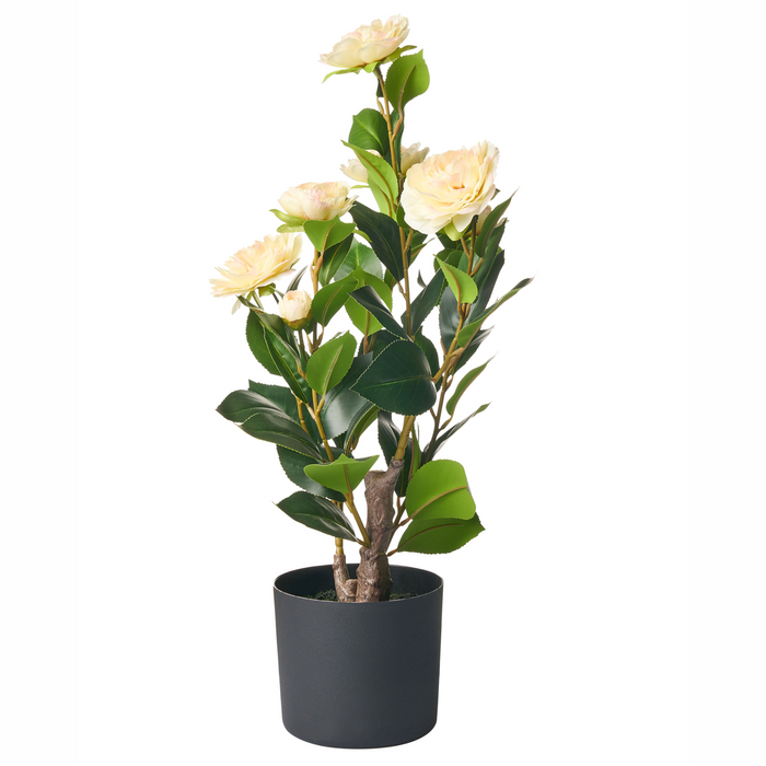 Beliani - CAMELLIA - Kunstplant - Groen - 60 cm - Kunststof