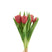 J-Line boeket Tulpen 7Stuks - kunststof - roze - small