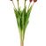 J-Line boeket Tulpen 7 stuks - kunststof - rood - large