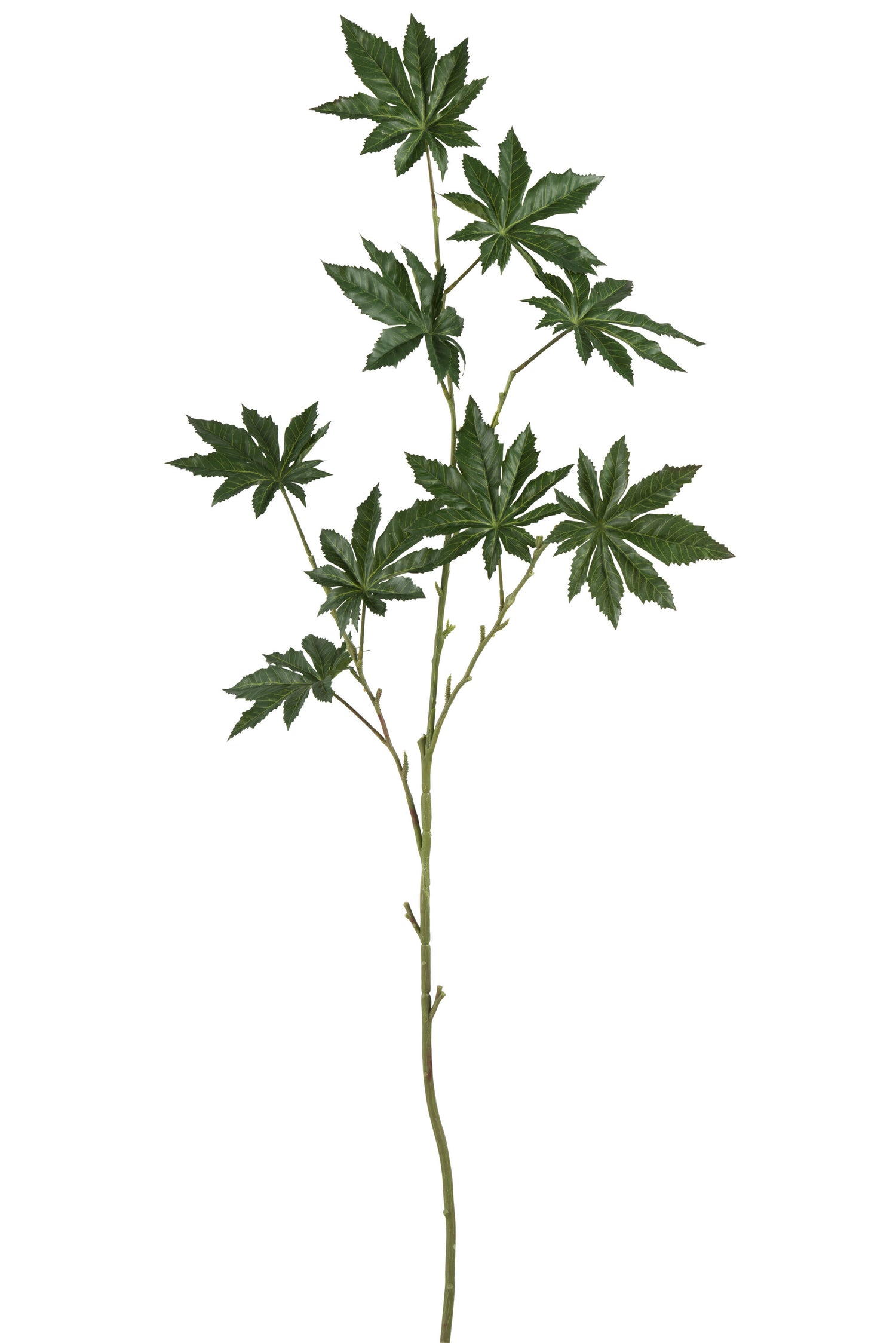 J-Line decoratie tak Papaya - kunststof - groen - 4 stuks