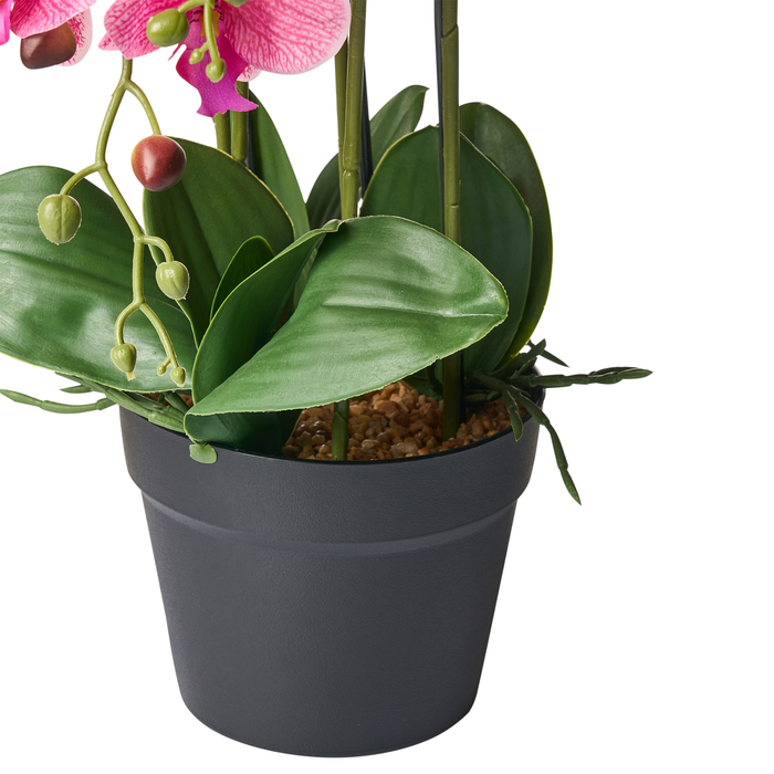 Beliani - ORCHID - Kunstplant - Roze - 65 cm - Synthetisch materiaal