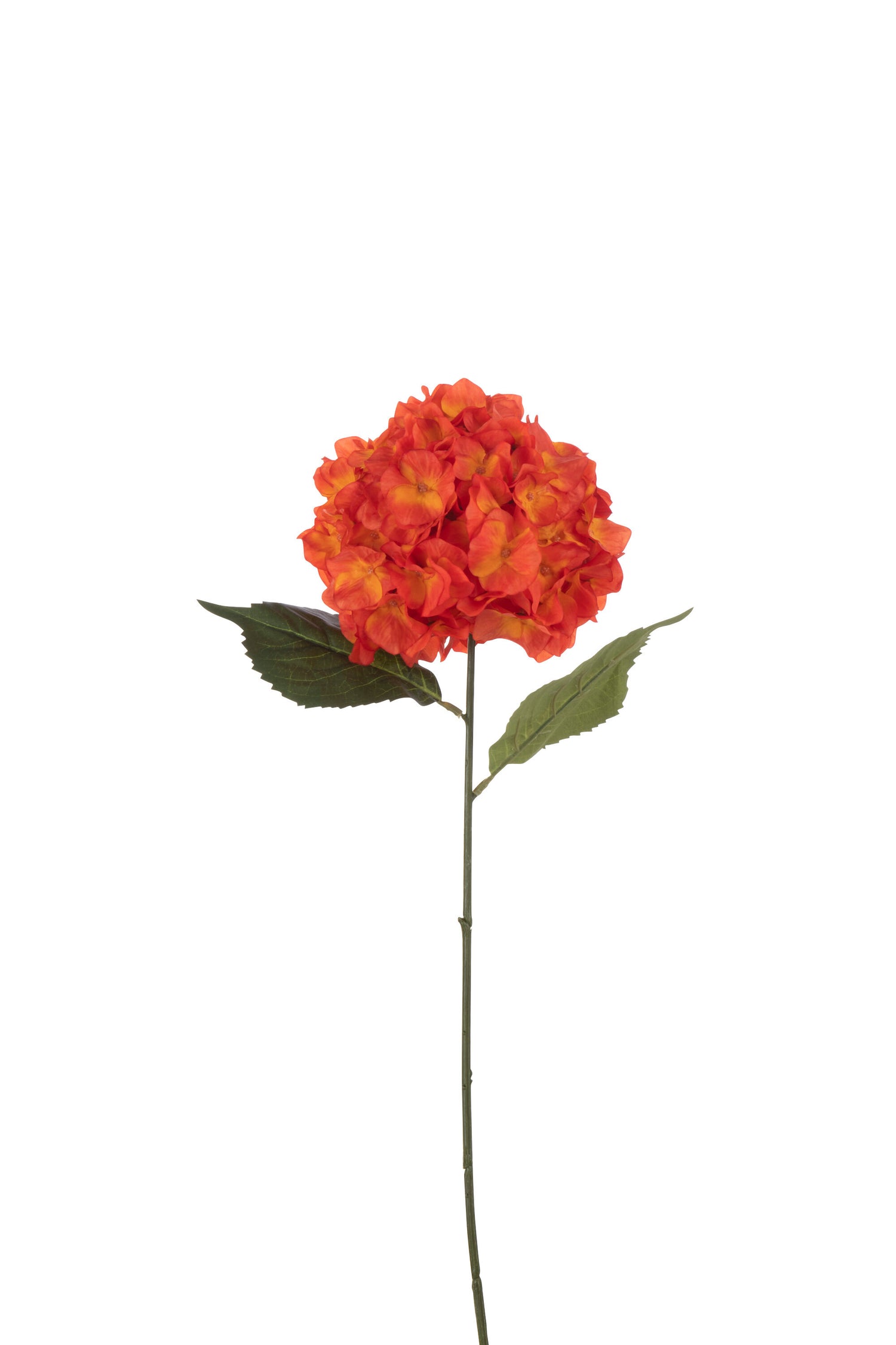 J-Line bloem Hortensia Sproeier - kunststof - rood