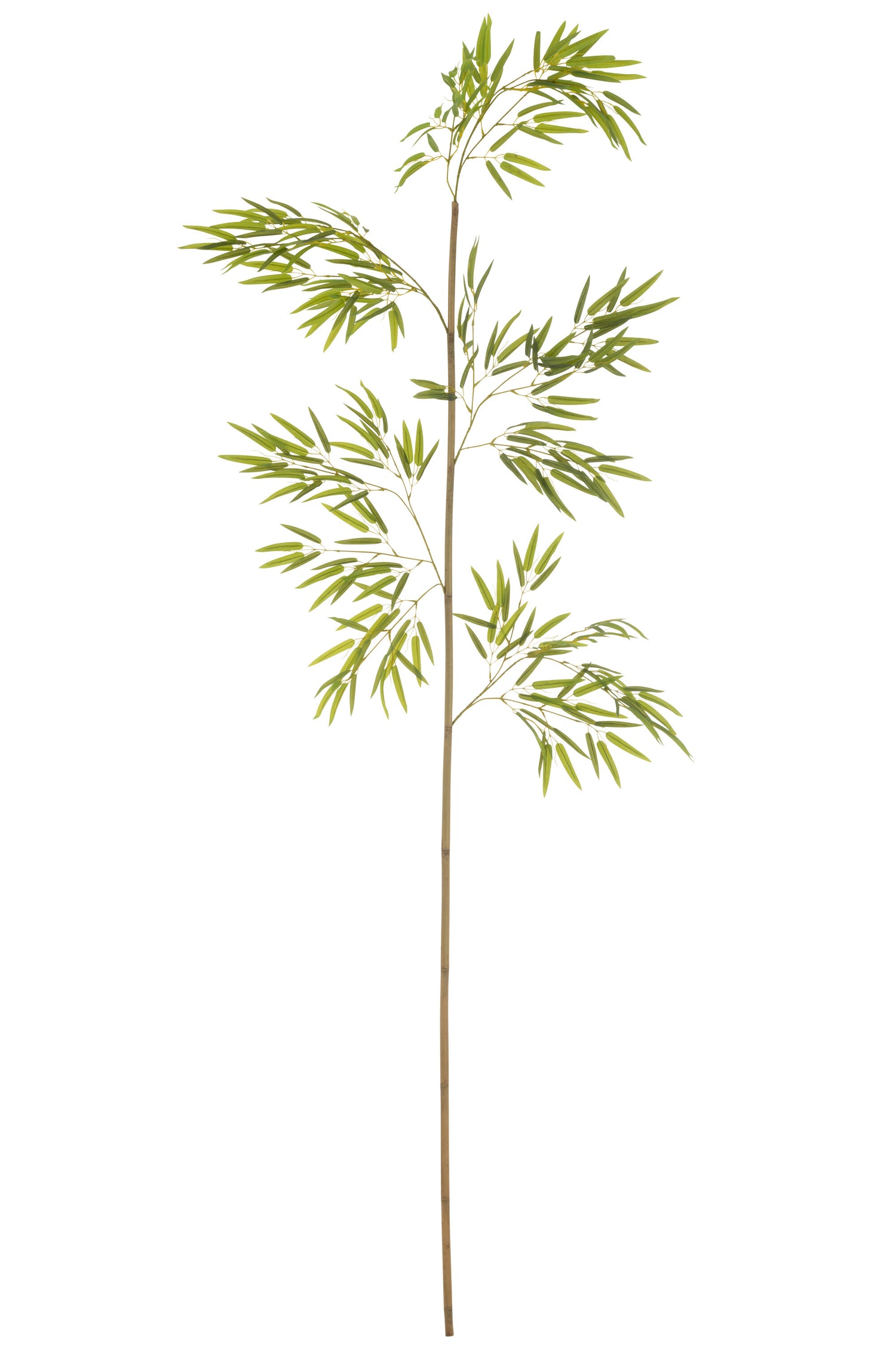 J-Line bambou in Pot - kunststof - groen