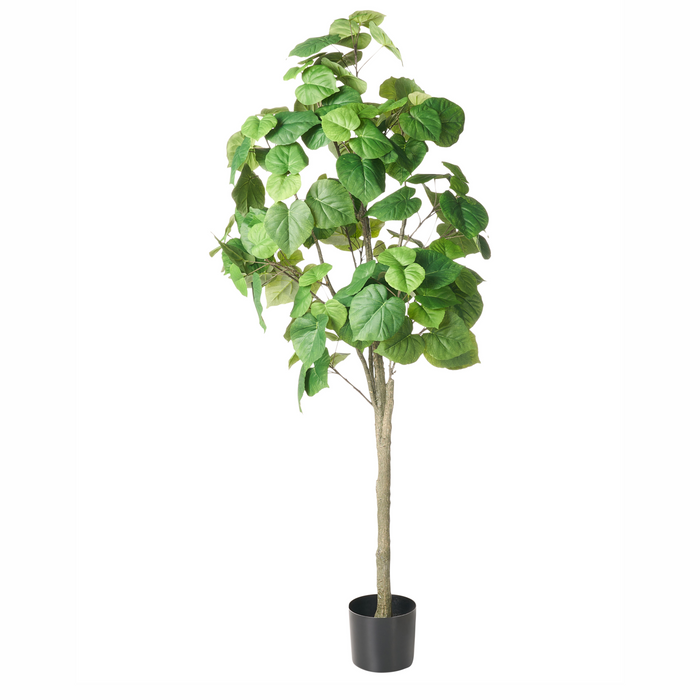 Beliani - FICUS TREE - Kunstplant - Groen - 160 cm - Kunststof