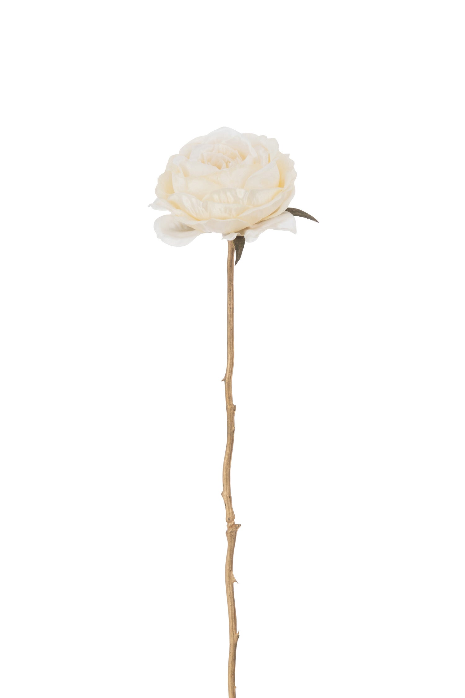 J-Line bloem Roos 1 Stengel - kunststof - creme|goud - 24 stuks